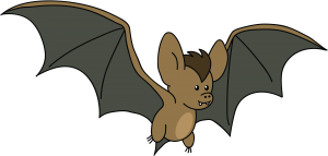 Wisdom in Creation of a Bat